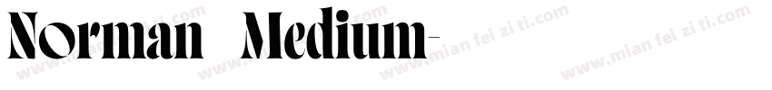 Norman   Medium字体转换